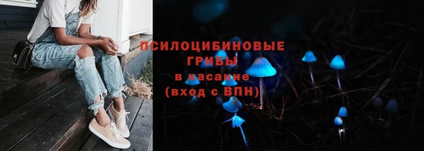 тгк Алексин