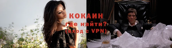 прущие крисы Алзамай