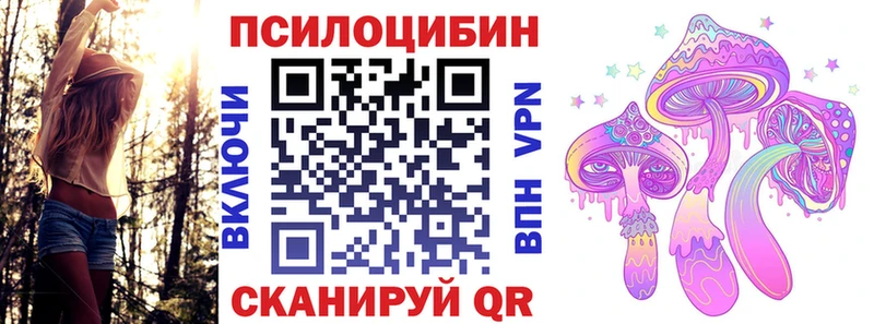 Псилоцибиновые грибы Psilocybe  Приморск 